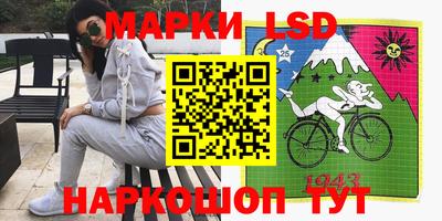 шишки Тара