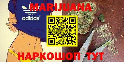 шишки Тара