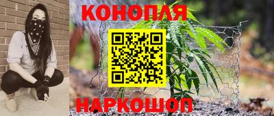 шишки Тара