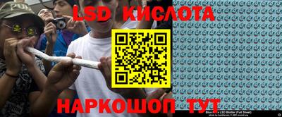 шишки Тара